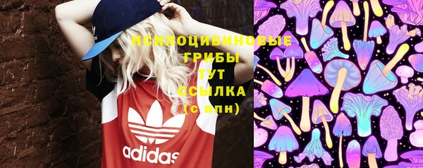 молекула духа Чегем